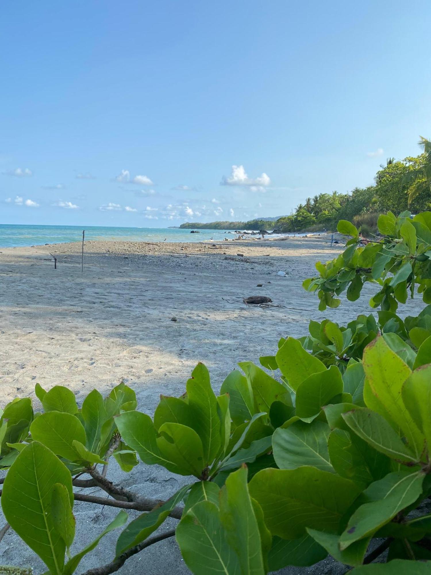 Villas Cabuya Beach&Jungle Bagian luar foto