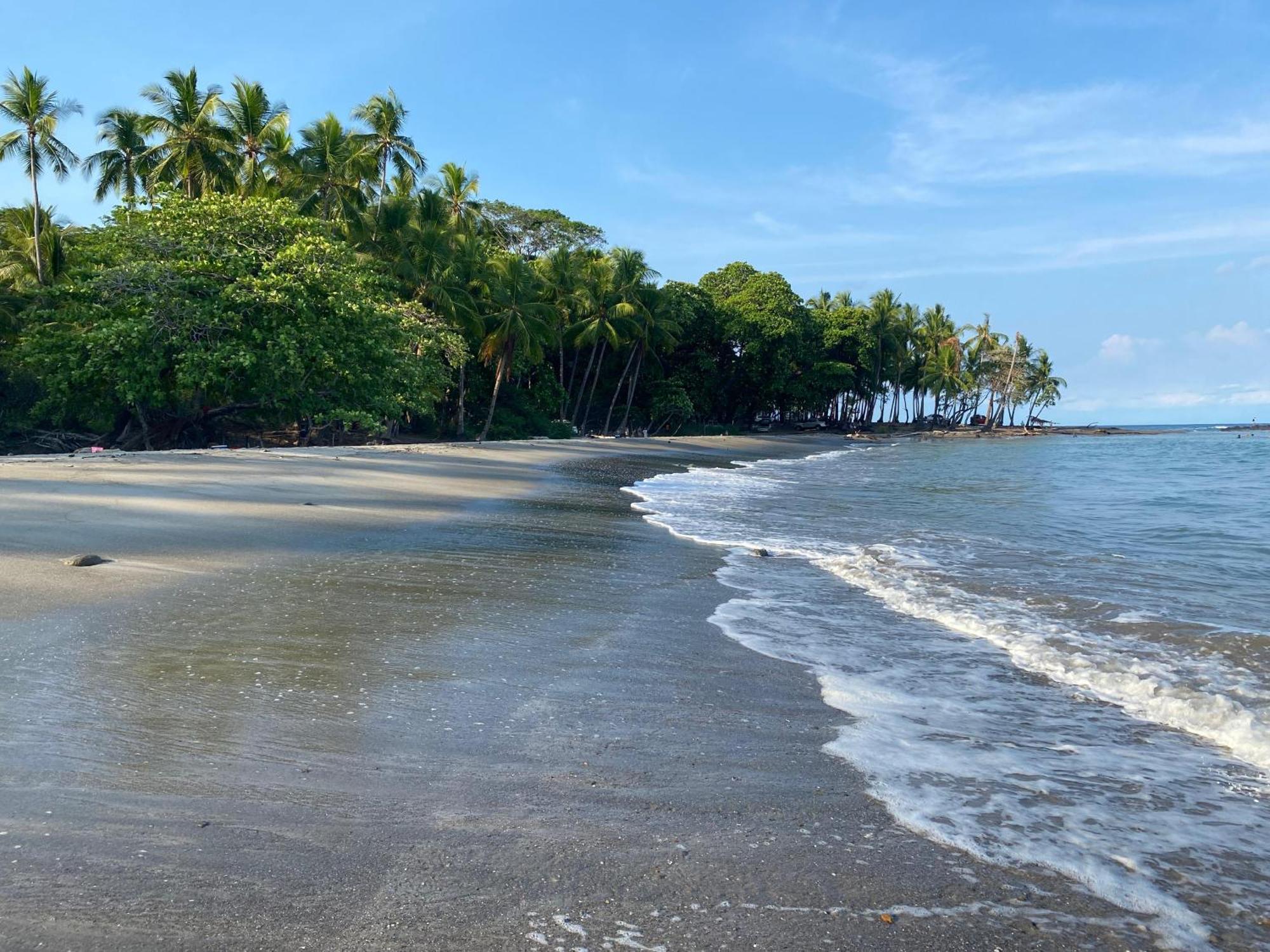 Villas Cabuya Beach&Jungle Bagian luar foto