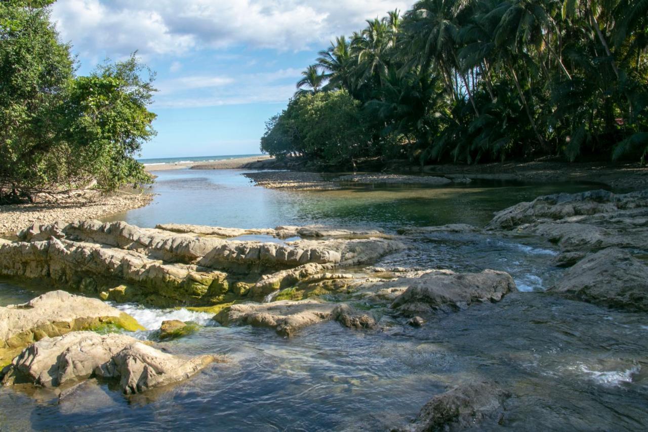 Villas Cabuya Beach&Jungle Bagian luar foto